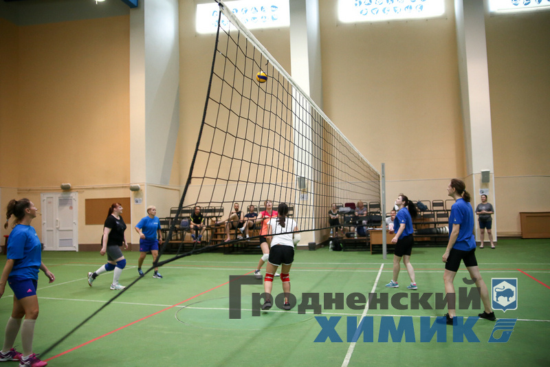 5676867867987 (50).jpg